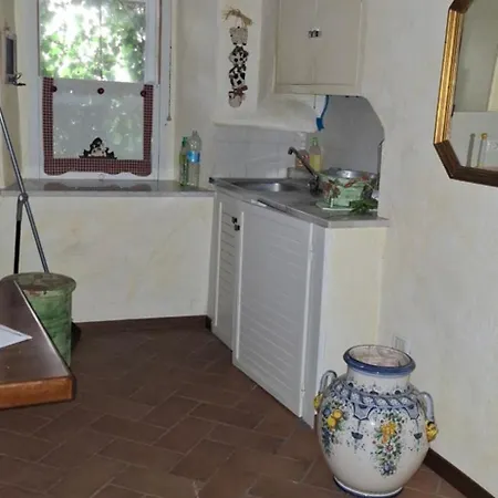 公寓 Casa Di Nonna Elvira 斯波莱托